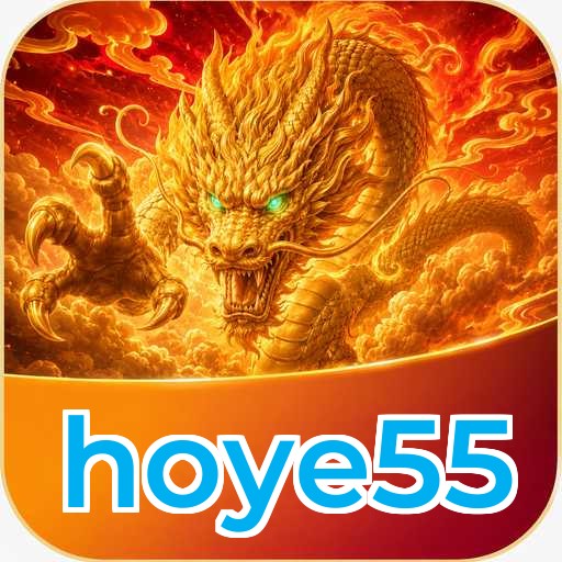 hoye55 Tools