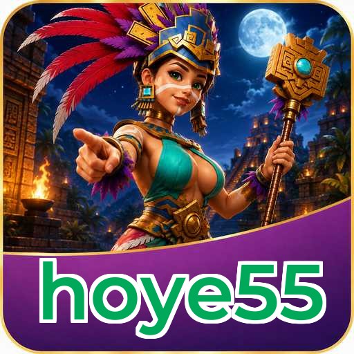 hoye55 Tools