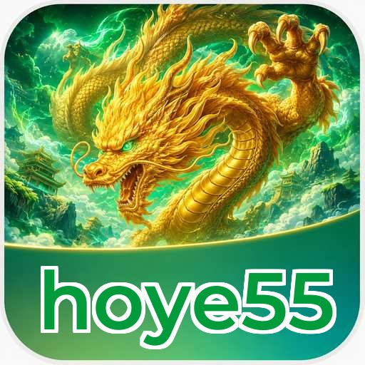 hoye55 Tools