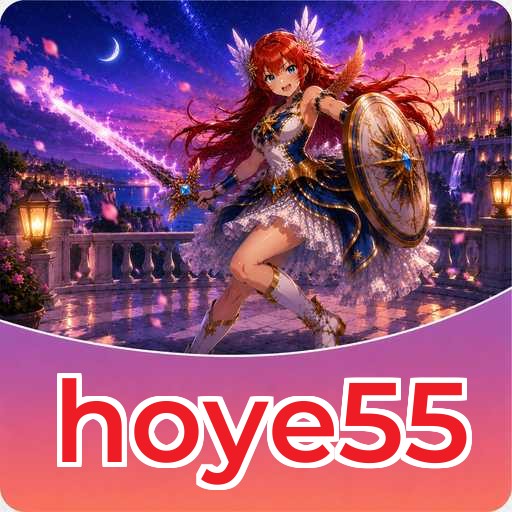 hoye55 Tools