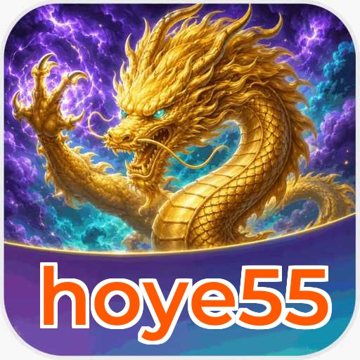 hoye55 Components