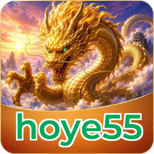 hoye55 APK Structure