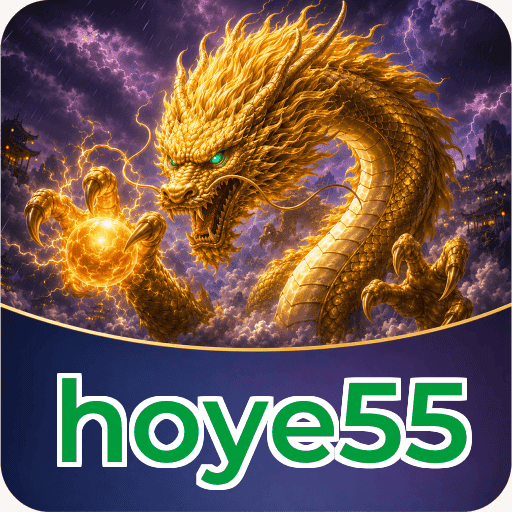 hoye55 Specifications