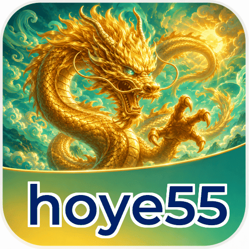 hoye55 Installation