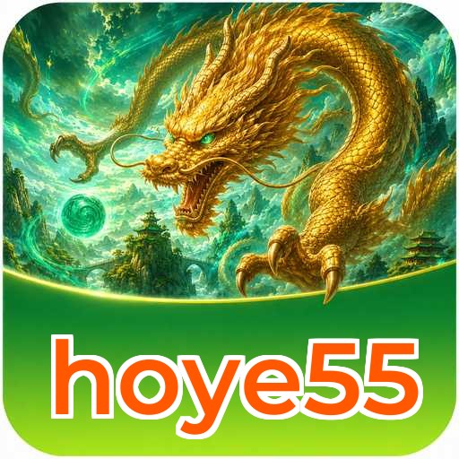 hoye55 Tools