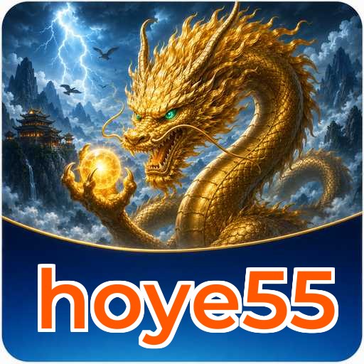 hoye55 APK Structure