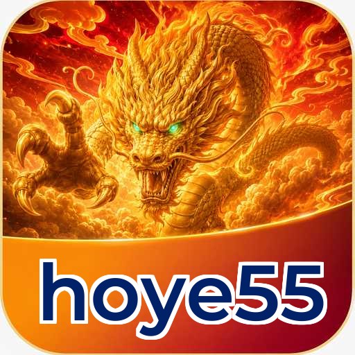 hoye55 FAQ