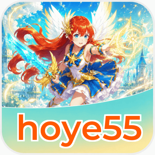 hoye55 Technical Info